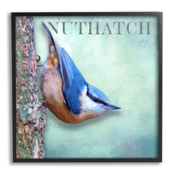 Stupell Industries Blue Nuthatch Bird Climbing Tree Forest Wildlife